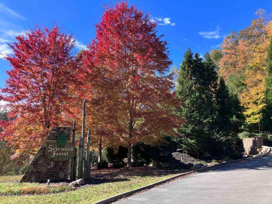 Solid Ground Lodge With Yard! Pigeon Forge Ngoại thất bức ảnh